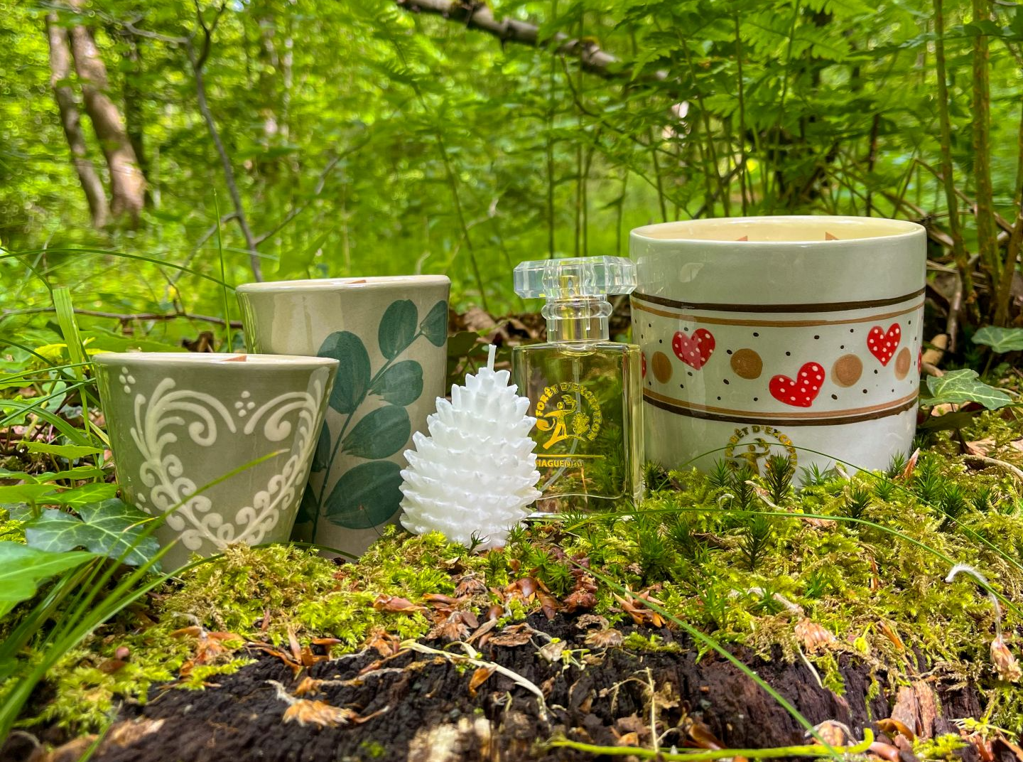 Une fragrance inédite pour célébrer la Forêt d’Exception® de Haguenau